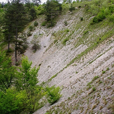 Cirque de la Coquille