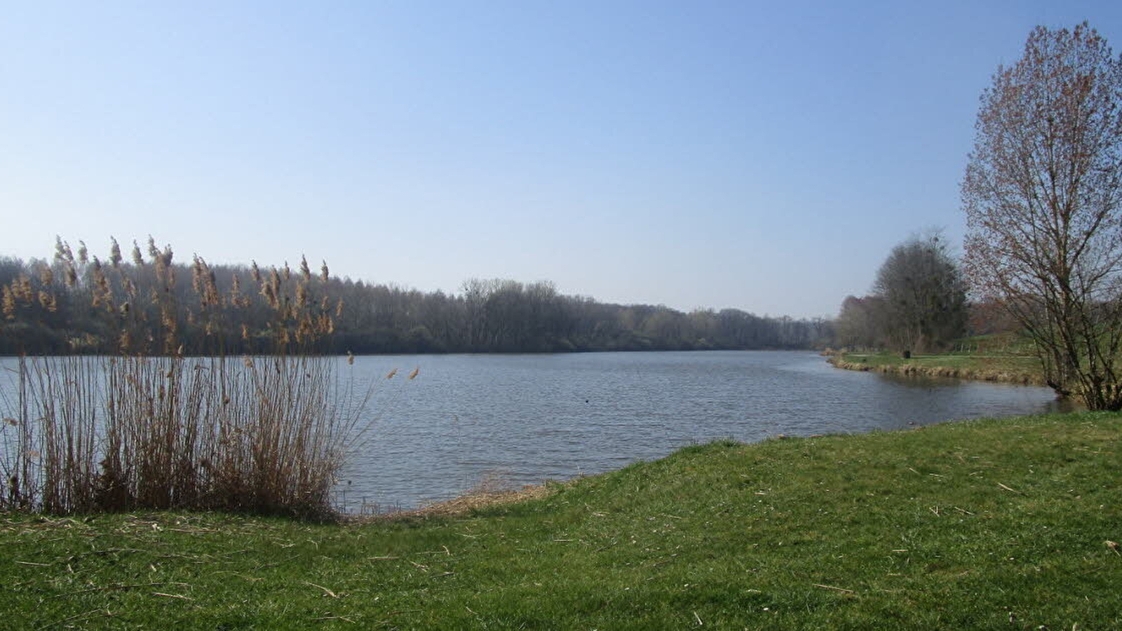 Aire de pique-nique des étangs