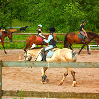 Écuries des Crins d'Argent - VILLERSEXEL