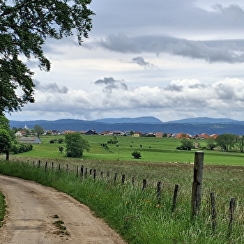 Le Grand-Bois - n° 111 - CHAFFOIS