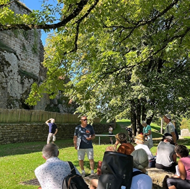 Visites guidées du château de Montfaucon