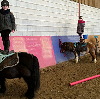 L'écurie des p'tits bouts - DENNEY
