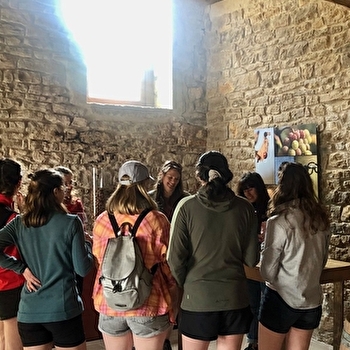 Visite guidée et dégustation de vins de Vézelay - THAROISEAU