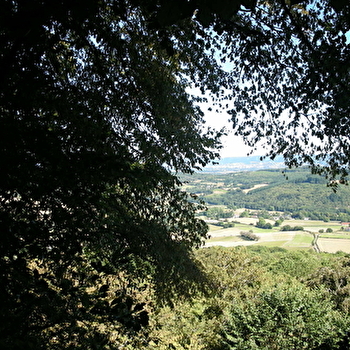 Circuit du Château - LA GRANDE-VERRIERE