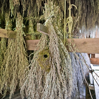 Sentier Pédestre de l'Absinthe