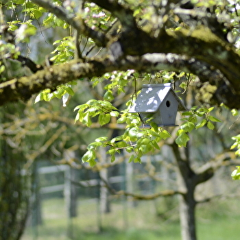 Gîte Hamac et Potager - LA CHAPELLE-DE-BRAGNY
