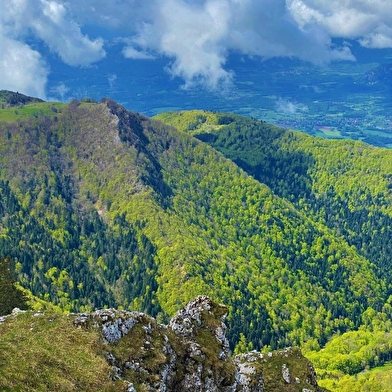 Randonnée pédestre : boucle des alpages du Grand Colombier