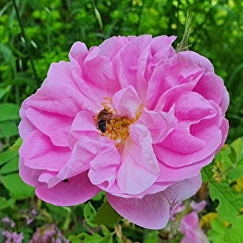 Voir l'invisible, sentir l'essentiel - DARBONNAY