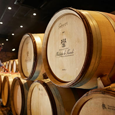 Visite dégustation spéciale Vente des Vins 2025 au Domaine du Château Philippe le Hardi