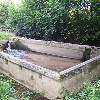 Lavoir de la Renarde - SAINTE-HELENE