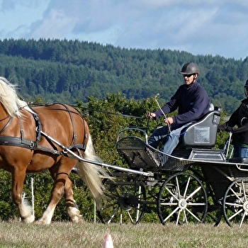 Ferme équestre du Berger - SAINT-SEINE