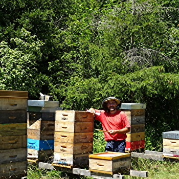De la Ruche aux Papilles - LES BOUCHOUX