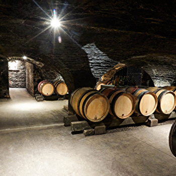 Chapuis Maurice - ALOXE-CORTON