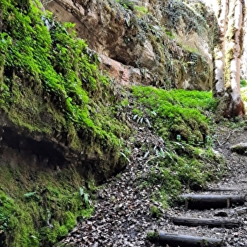 Sentier karstique du grand bois et grotte Maëva - MONTS-RONDS