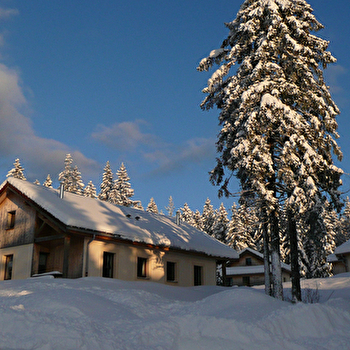 Chalet -Les Hauts Bois -  l'Églantine - CHAPELLE-DES-BOIS