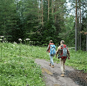 Les bois de la Chapelle - FLOGNY-LA-CHAPELLE