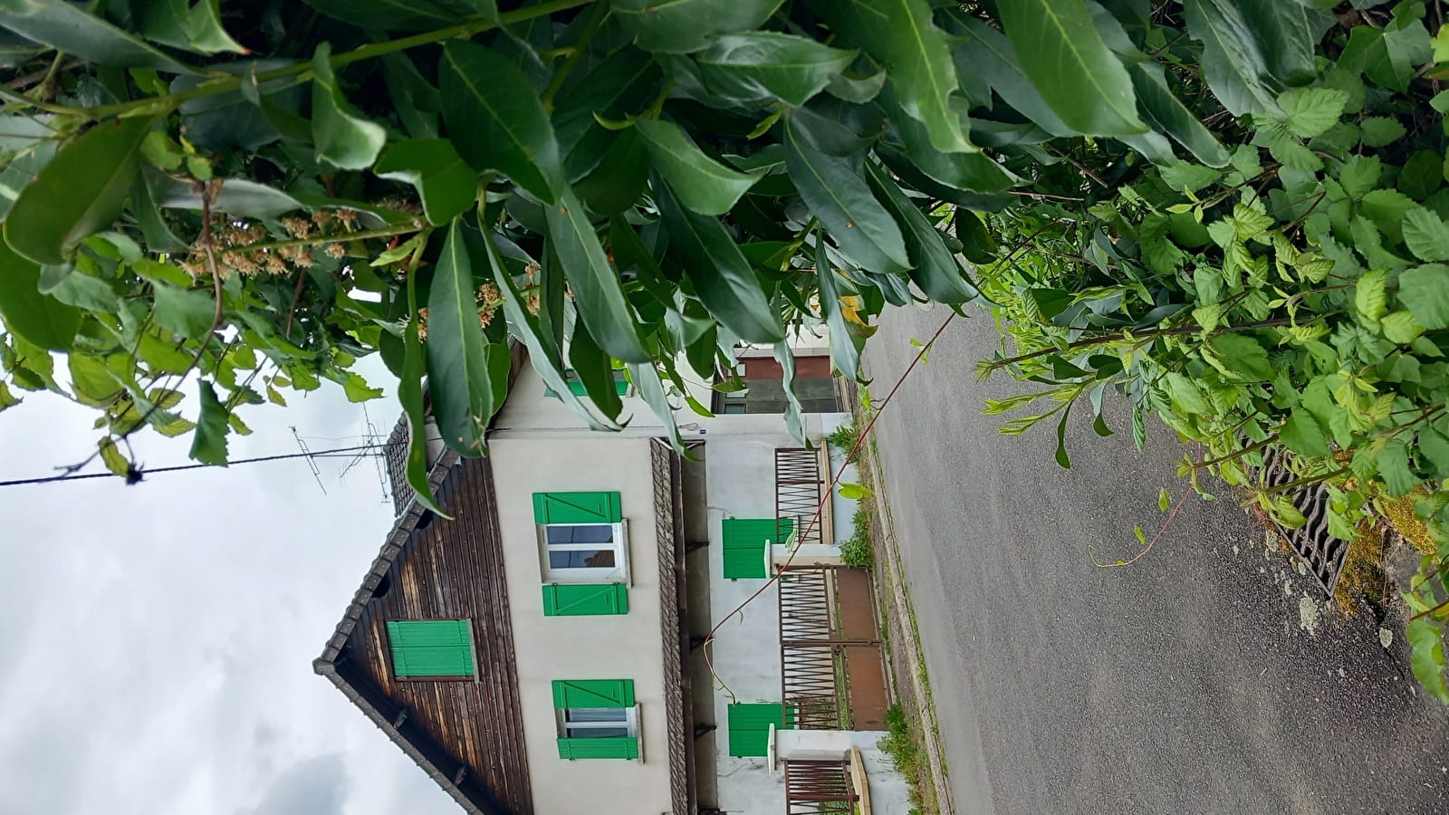 Au Coteau des Thermes : Hirondelle