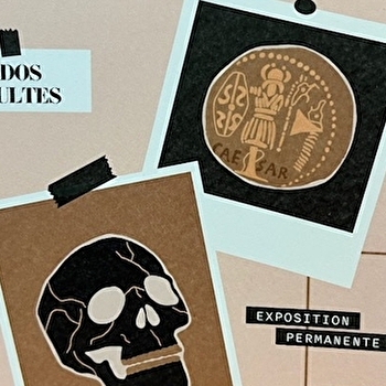 Enquête dans les camps de César - ALISE-SAINTE-REINE