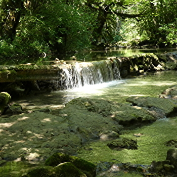 Sentier de balade : la Pernaz sauvage - SERRIERES-DE-BRIORD