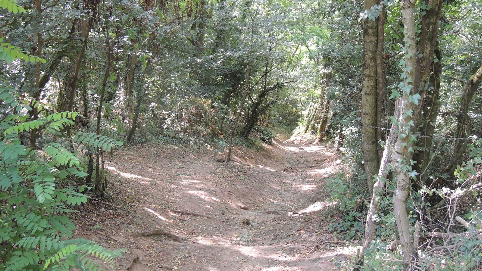 Circuit VTT 202 - Les Lapins