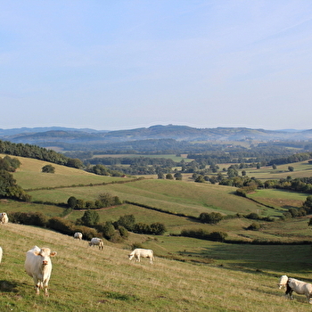 La Vallée de l'Arroux - ETANG-SUR-ARROUX