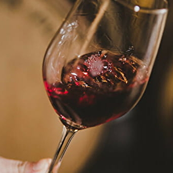 Maison Bouchard Aîné & Fils - Visite 'Bacchus' - BEAUNE