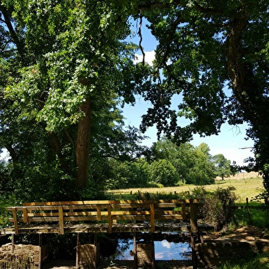 Aire de pique-nique l'Ozolette