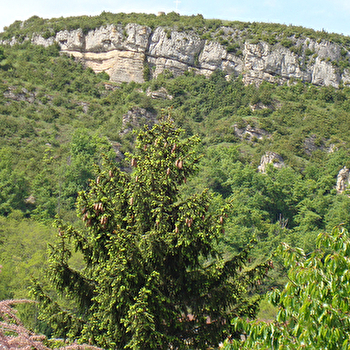 La Roche Coche - BERZE-LA-VILLE