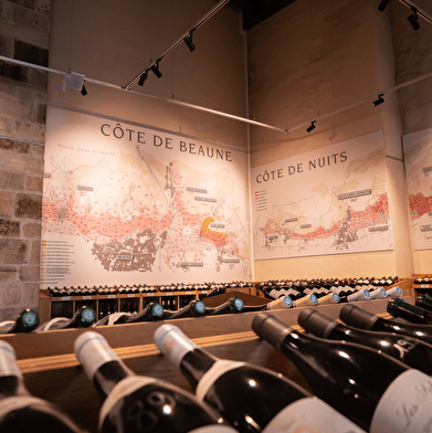 Marché aux Vins - Dégustation Découverte