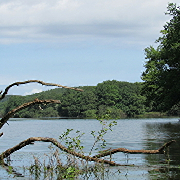 Le Printemps des ENS de Saône-et-Loire: la retenue d'eau du Pont du Roi. - SAINT-EMILAND