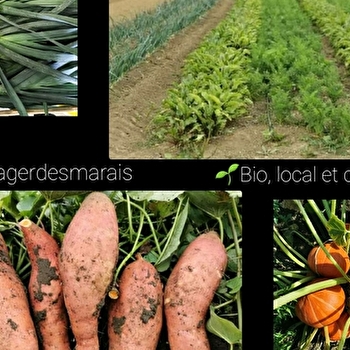 Le Potager des Marais - MARANDEUIL