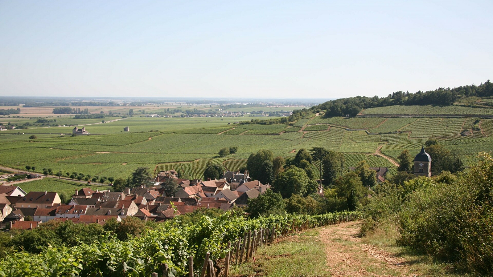 Journée Thématique : 'Au cœur des climats de Beaune'