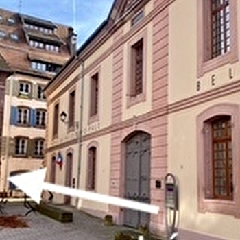 Le cocon du Lion - BELFORT