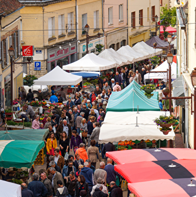 Route gourmande au coeur de la Puisaye