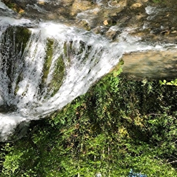 La cascade du Bief de Caille - BY