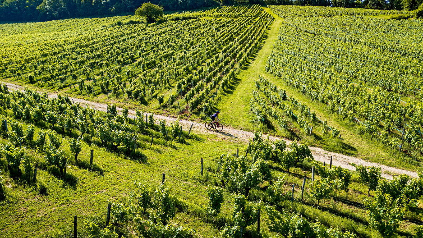 Tour du Jura Vélo Loisirs – Option Gravel : Port-Lesney – Poligny