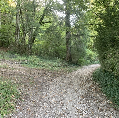 Randonnée - Le grand tour du plateau de Chamoise
