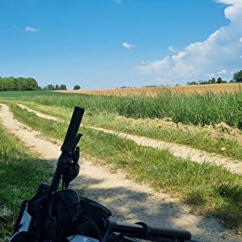 Circuit VTT-VTC n°24 (rouge) - La St Martin - MONTREVEL-EN-BRESSE