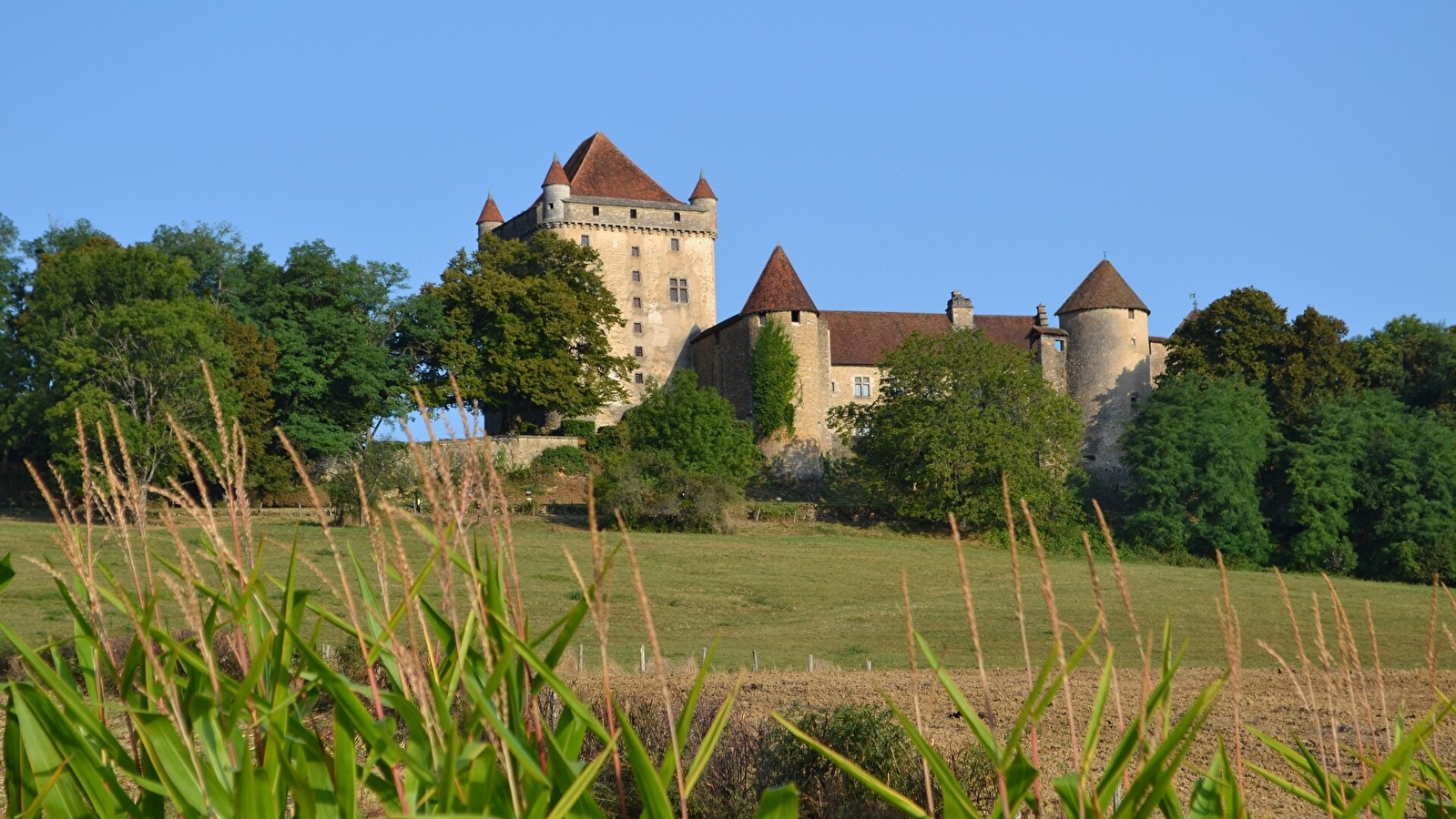 Vignoble et Châteaux - 88B