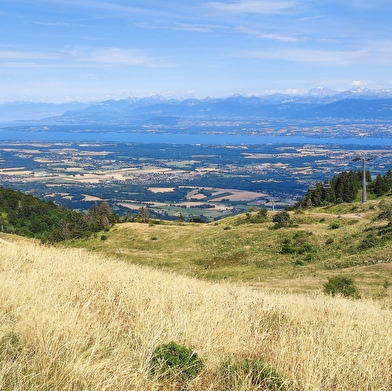 Parcours VTTAE 86 - rouge - La Panoramique - Espace VTT FFC Ain Forestière