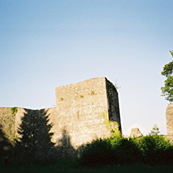 Le Château de Présilly - 34B - ORGELET