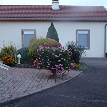 La Vie est Belle - HAUTEVELLE