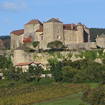 Société Viticole du Château de Berzé - BERZE-LE-CHATEL