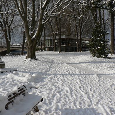 De la feuille à la pierre : Trésors de nos parcs et jardins publics