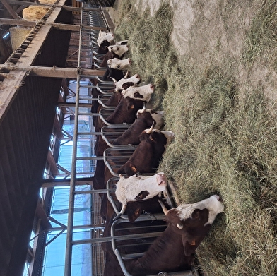 Fromagerie de la Chaume