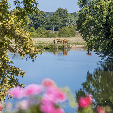 Du val de Besbre au val de Loire – variante par le Puy St-Ambroise