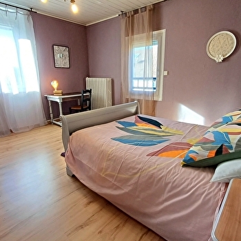 Fleur de Jeannette - TORPES