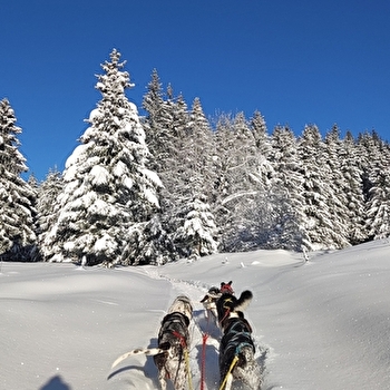 Team Fast Dogs - LES MOUSSIERES