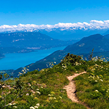 Randonnée pédestre : boucle des alpages du Grand Colombier - CULOZ