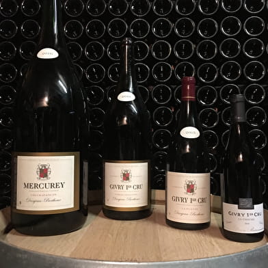 Danjean Berthoux Pascal